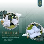 photo_6319007296537081152_y