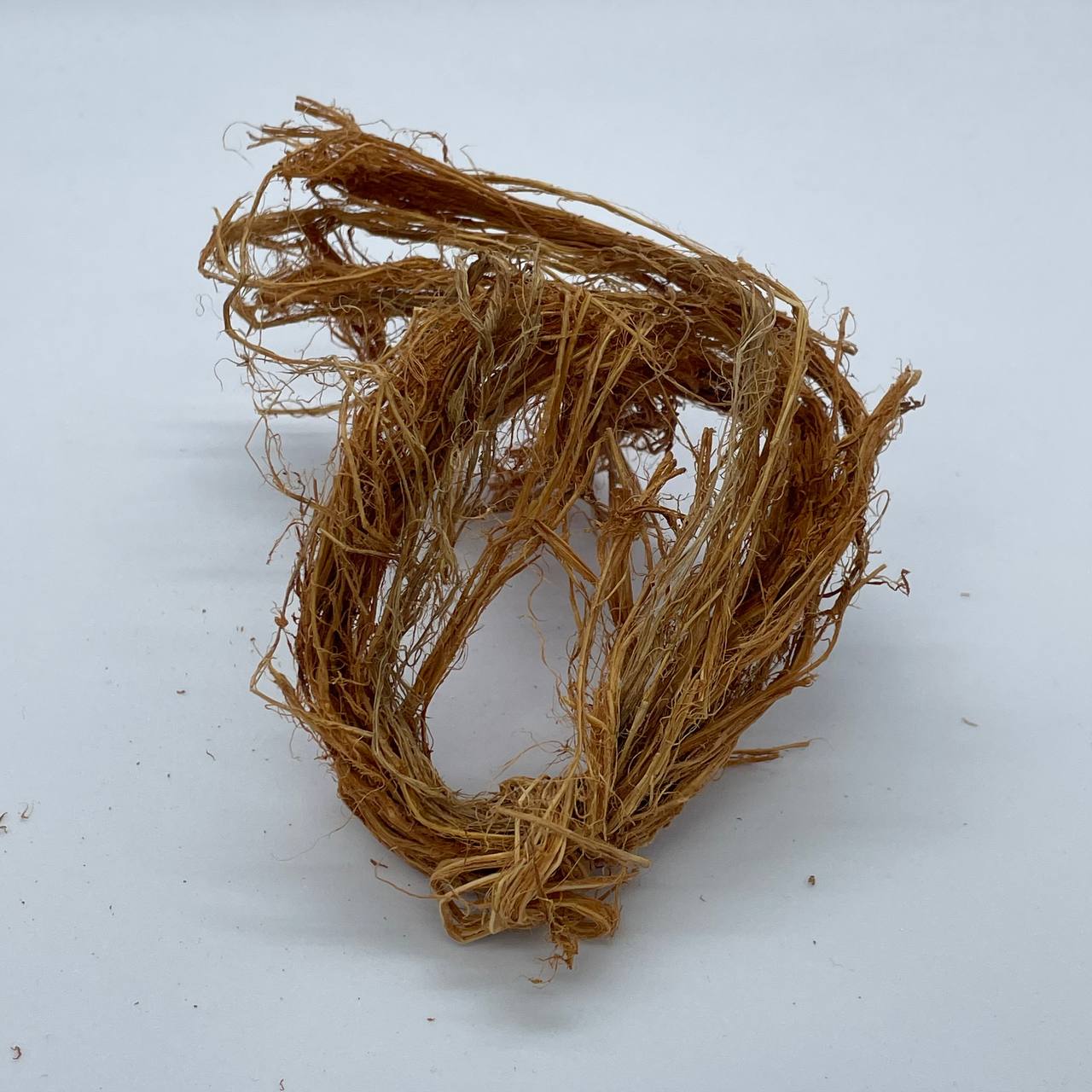 photo_6309881539005101905_y